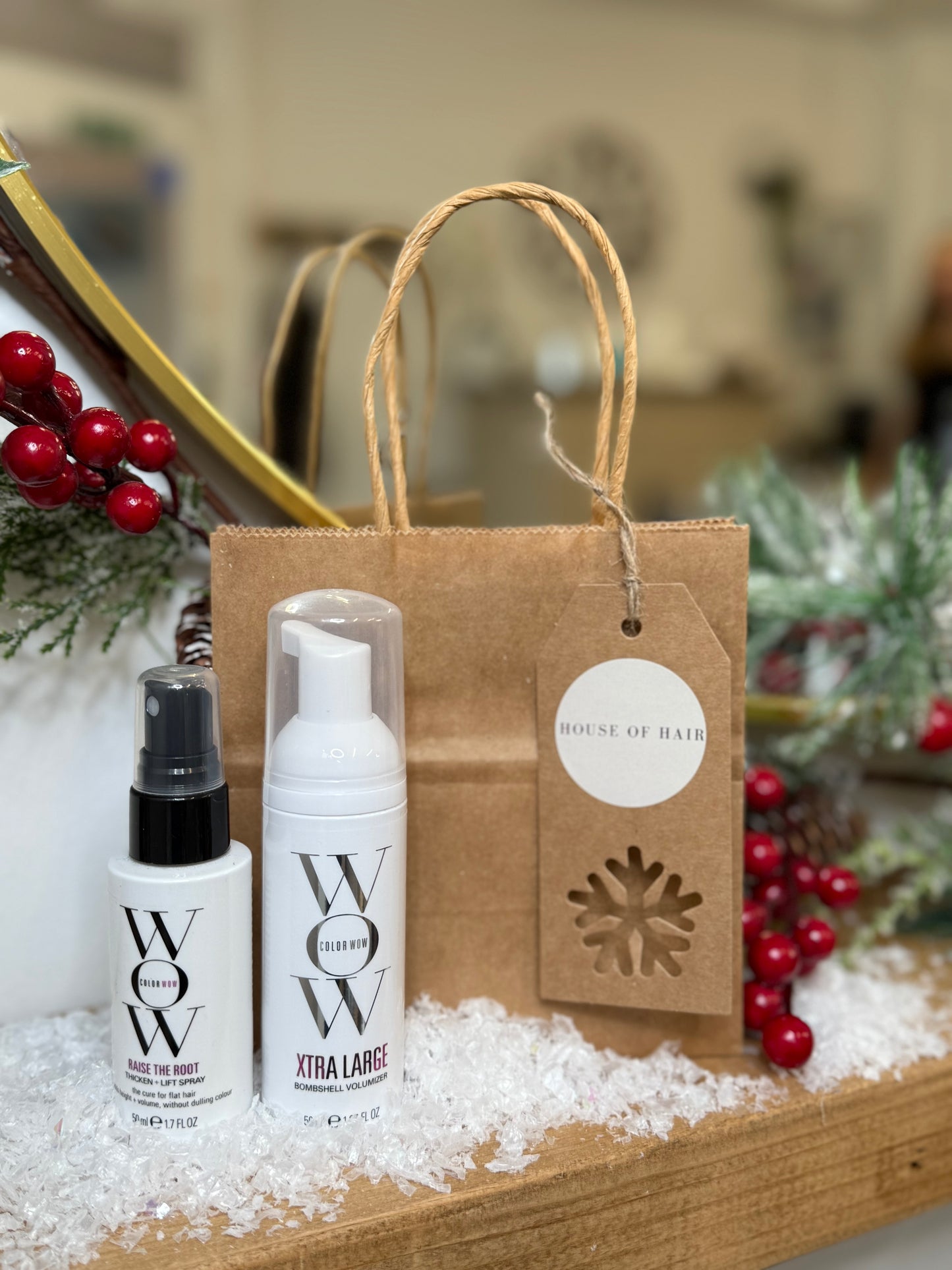 Color Wow Volume Travel Duo